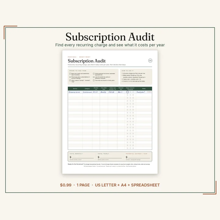 Main preview of the Subscription Audit